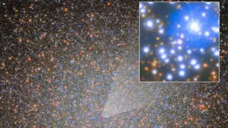 Omega Centauri Unveils Its First Hidden Stellar-Mass Black Hole