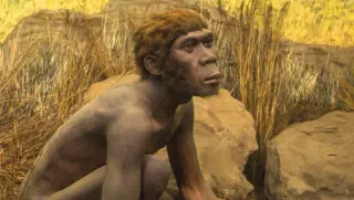 Modern Humans Harbor DNA from Two Unknown Ghost Hominins