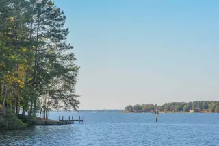 Louisiana Resident Hospitalized After Lake Swim for Rare Brain-Eating Amoeba