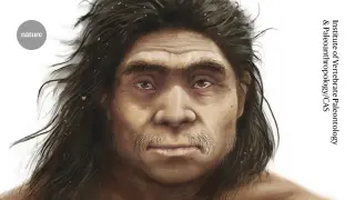Protein Analysis Confirms Xujiayao Fossils as Denisovans, Defining Their Physical Traits