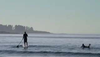Scarborough lifeguard narrowly escapes underwater shark grab during rescue