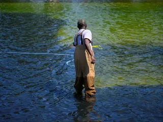 Algae Turns DC Reflecting Pool Green After $14.7M Makeover, Trump Claims Vandalism