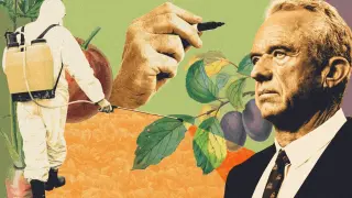 Oval Office pesticide clash exposes rift in Trump’s farming coalition