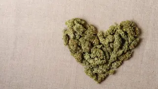 Study Links Western US Cannabis Legalization to Rising Heart Attack Rates