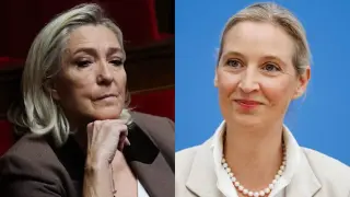RN distances itself from AfD after German far-right victory