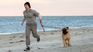 I Play Rocky: A Nostalgic, Fan-Service-Heavy Biopic Premieres at TIFF