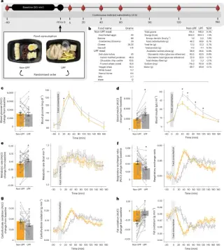 Study: Ultra-Processed Foods Alter Brain Reward Signals Despite Identical Nutrition