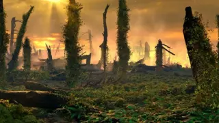 Ancient Ferns Fueled the End-Triassic Firestorm