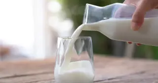 Avoid These 5 Foods If You Have High Cholesterol