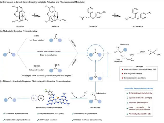 Single-Atom Copper Catalyst Enables Reusable, Light-Driven N-Demethylation