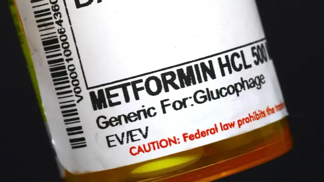 Metformin’s core mechanism revealed: gut mitochondria drive its glucose-lowering effect