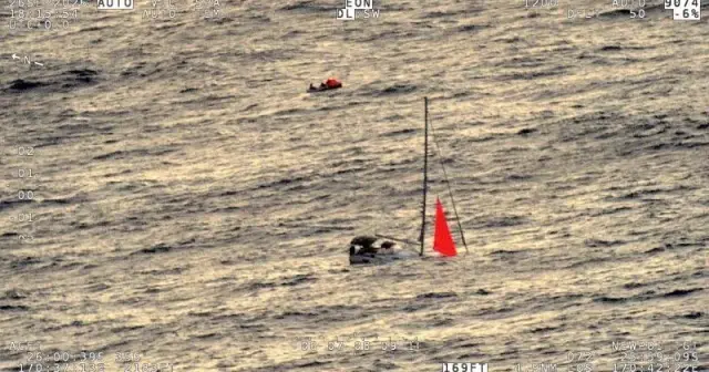 Sperm Whale Strike Sinks Yacht Tai Tam in South Pacific; Four Sailors Rescued by Container Ship