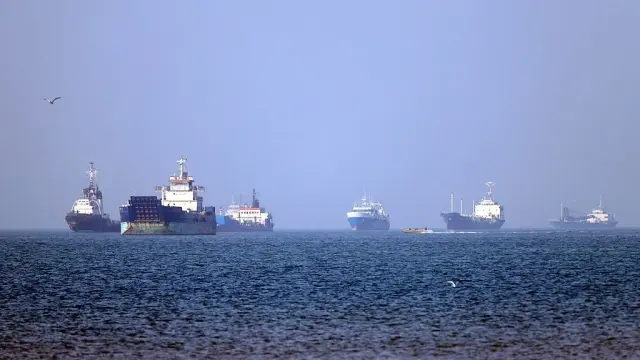 Idle ships in Hormuz could spark a global marine biosecurity crisis