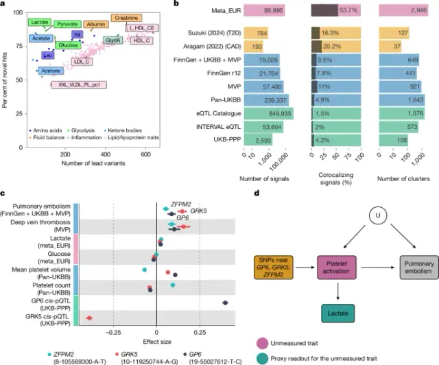Massive GWAS maps 249 circulating metabolites to thousands of genetic signals in 619,372 individuals
