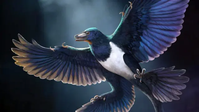 New Chinese Fossil Confirms Flight Evolved Independently in Birds and Dinosaurs