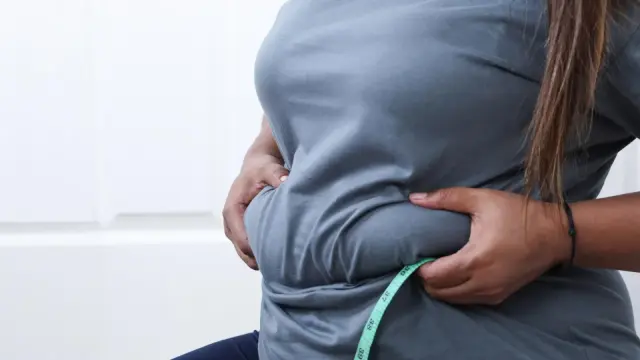 Aging reveals a new fat-making stem cell driving belly fat growth