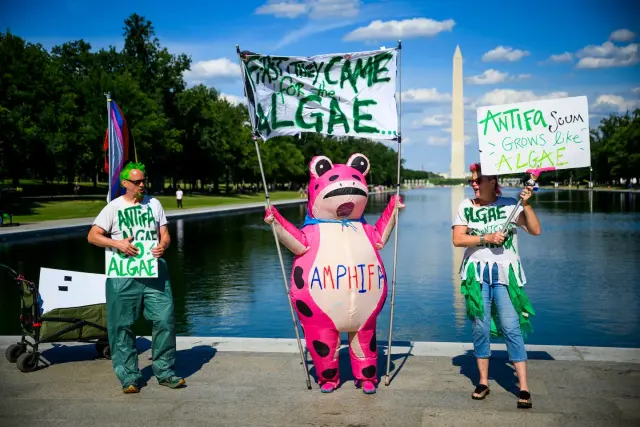 Pro-Algae Protest at Reflecting Pool Turns Absurdity Into a Message