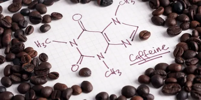Caffeine, Not Coffee, Shields Mouse Brains From Chronic Stress