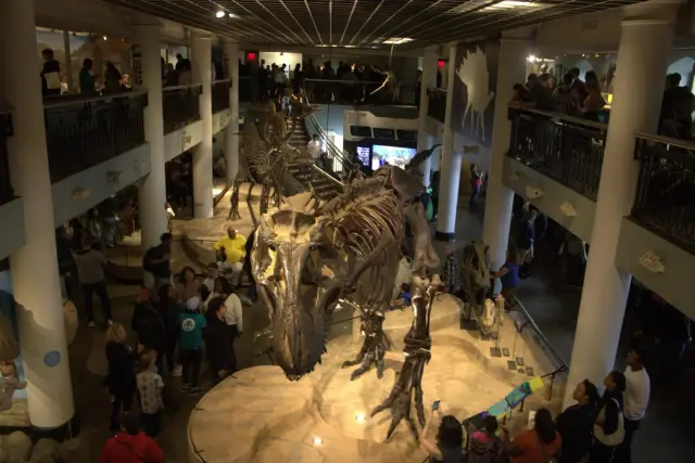 Former Staff Blame Strategic Shifts for Academy of Natural Sciences Closure