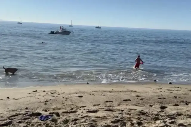 Malibu Kayaker Hospitalized After Double Bite from Mako Shark During Fishing Incident