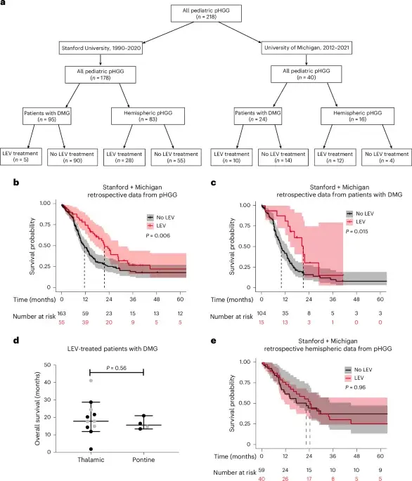 Levetiracetam targets DMG’s growth drivers, boosting survival in a tumor subclass