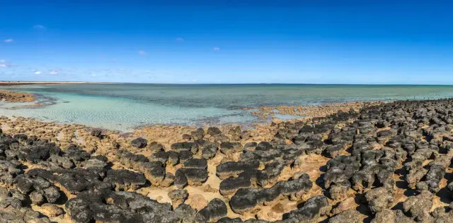 Western Australia’s 3.5 Billion-Year-Old Microbialite Archive Faces Severe Threats