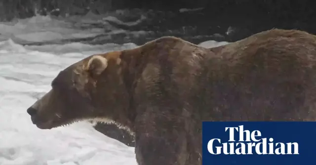 Backpack Claims 2026 Fat Bear Week Crown in Narrow Katmai Vote