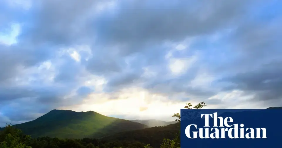 Forest Service overhaul prompts union fears of chaos and forced relocations