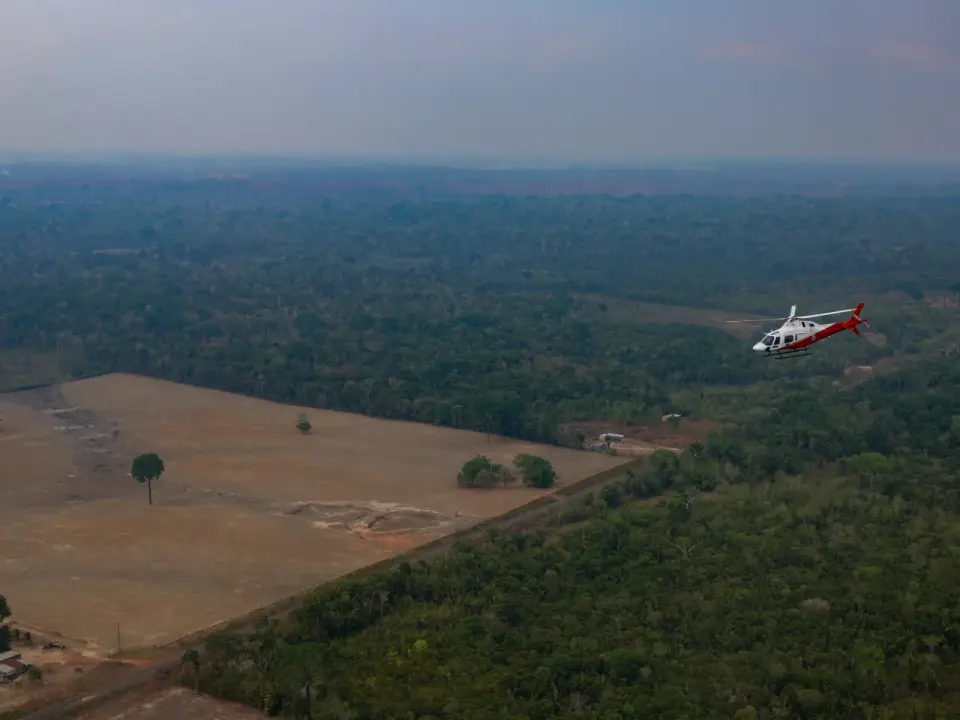 Brazil Amazon Deforestation Hits Record Low Amid Election Uncertainty