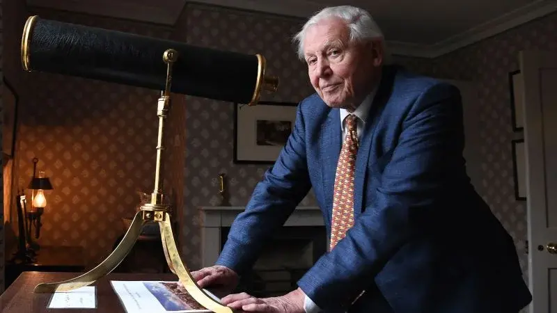 Tiny wasp Attenboroughnculus tau named after David Attenborough on his 100th birthday