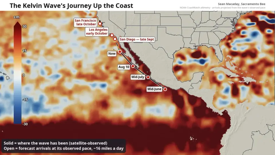 El Niño’s Kelvin Wave Arrives in California, Lifting Sea Levels by Up to a Foot