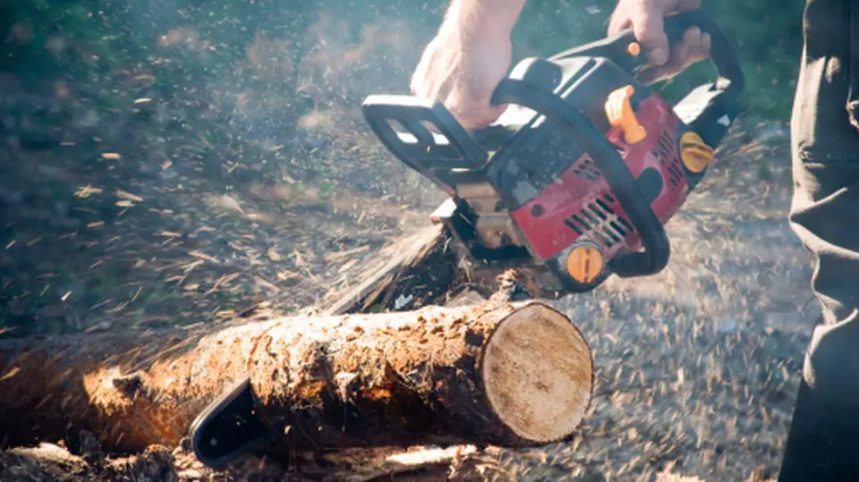 Tarist Launches $15 Portable Chainsaw File Set with Angle-Assist Handles