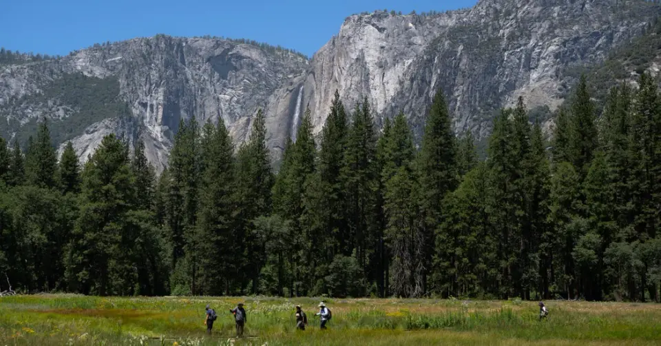 Trump Admin Eyes Yosemite Parcel Swap for Private Developer
