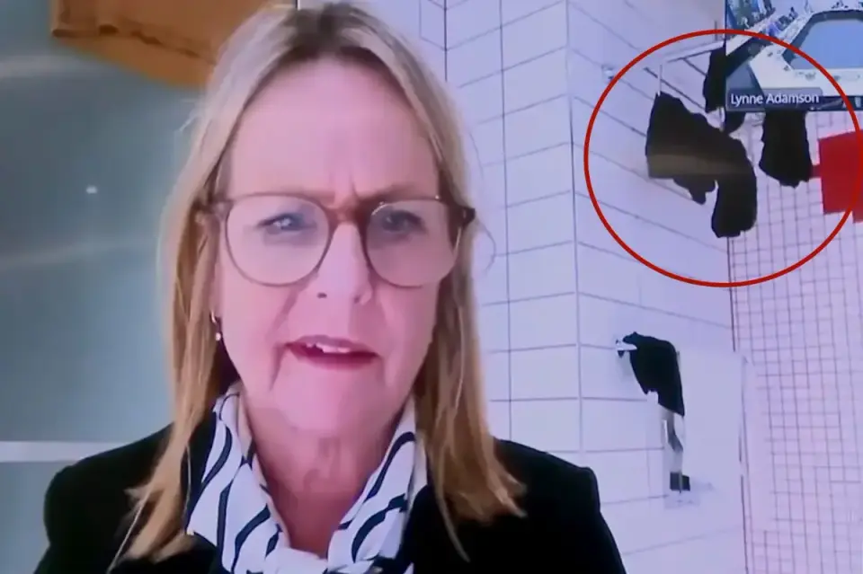 NZ councilor joins meeting from bathroom with laundry in view