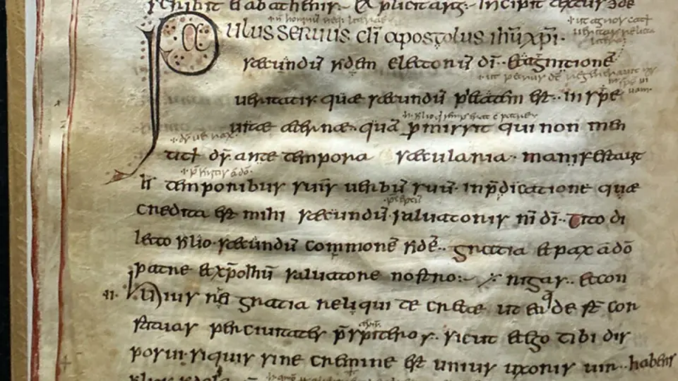 Parchment Clues Pinpoint 3,500 Years of Sheeppox Virus Evolution