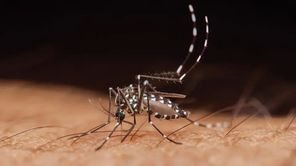 New Jersey braces for West Nile spread as mosquitoes reach 12 counties