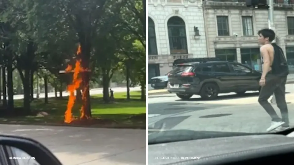 CPD releases image of person of interest in Grant Park cross-burning arson
