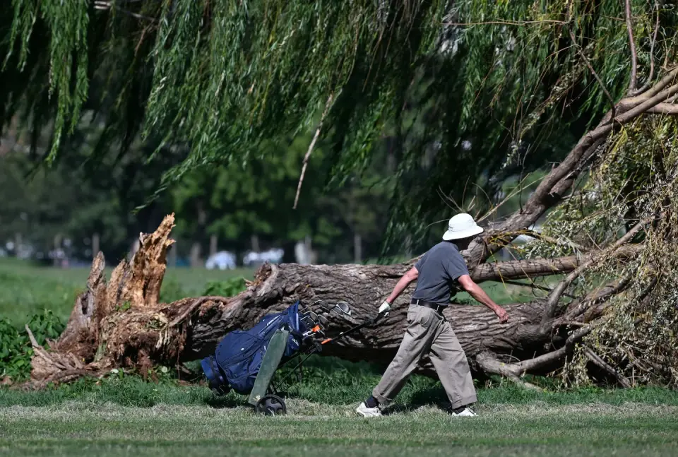 NPS to Cut 500+ Trees at East Potomac Golf Links Amid Trump Redesign Dispute