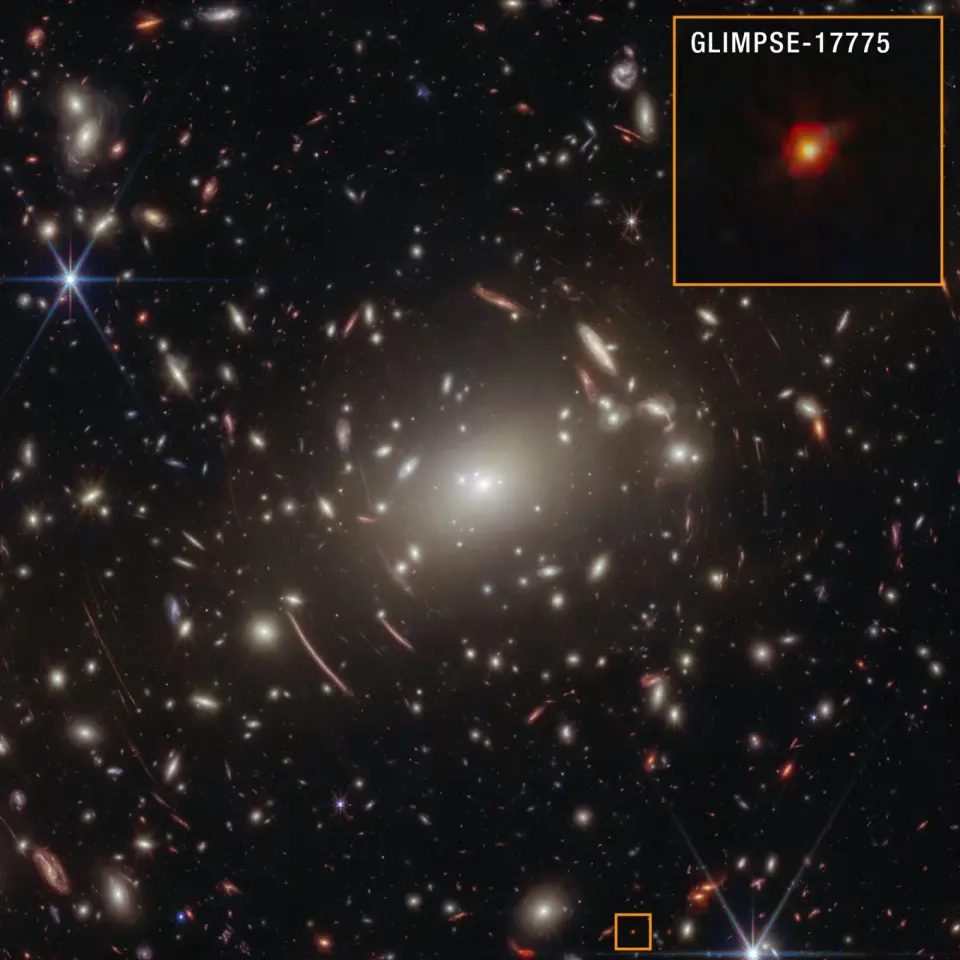 Webb’s tiny red dots may be newborn black holes hidden in dense gas