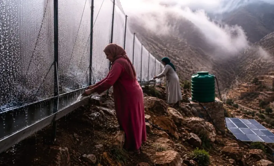 Morocco’s Fog Nets Bring Water and Change to Mountain Communities