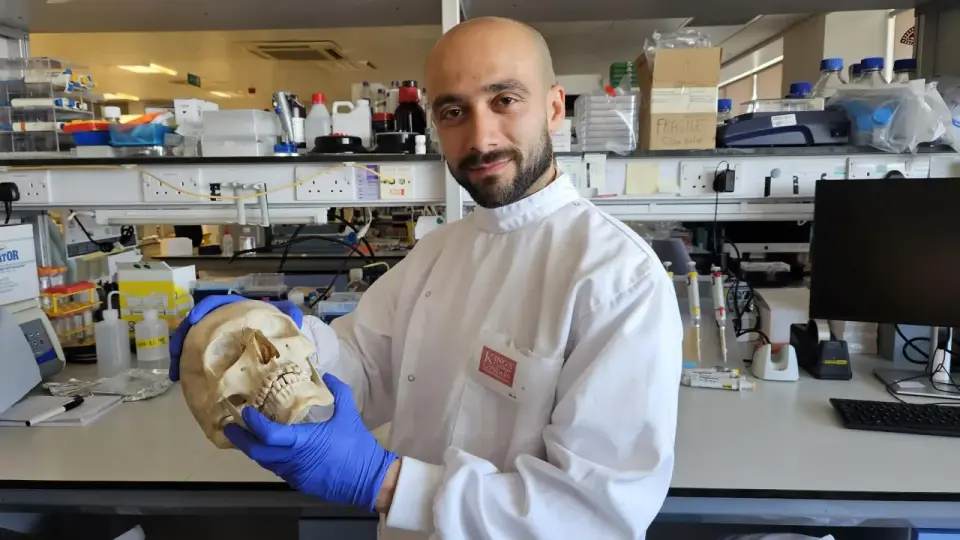 Wool keratin scaffolds show promise for sustainable bone repair