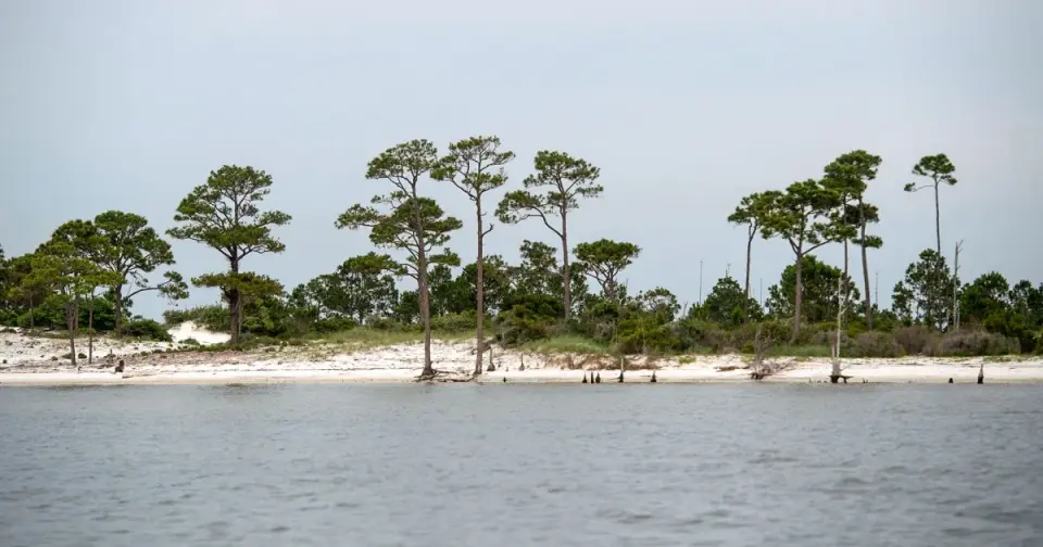 Calm Beaches, Hidden Currents: Nolan Wells and Horn Island's Risky Waters