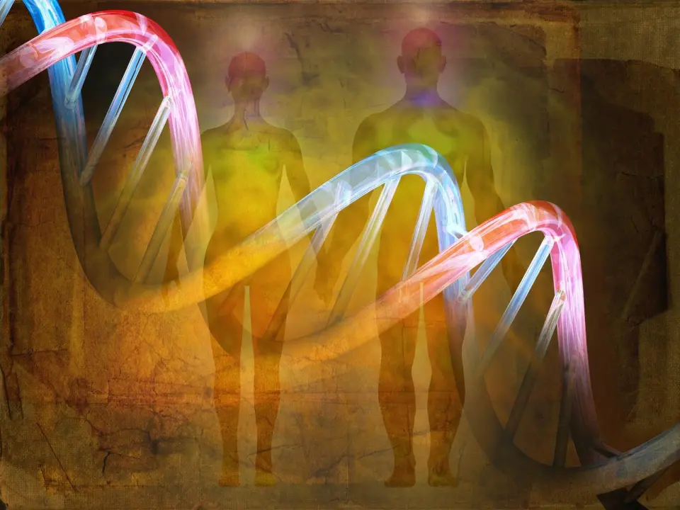 Ancient Genome Tracks Rapid Turn in Human Evolution