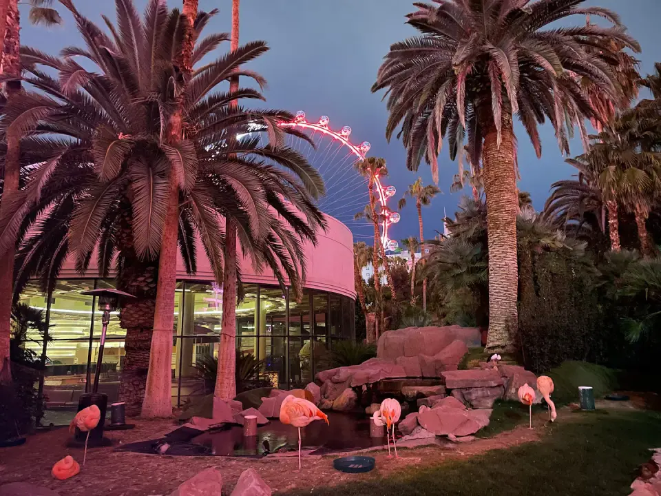Canadian Man Convicted of Animal Cruelty After Stealing Las Vegas Flamingo