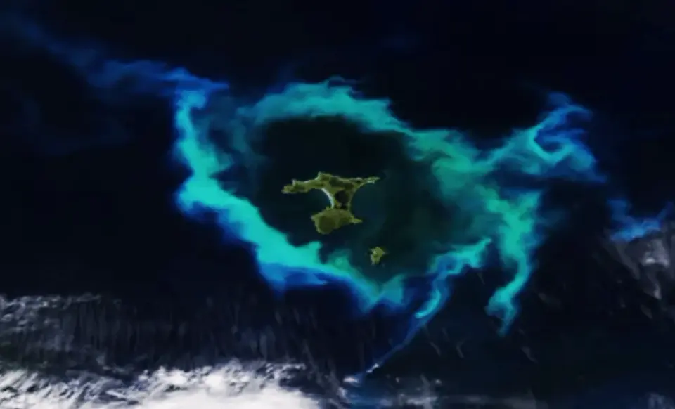 Glowing Plankton Ring Spotted Around Chatham Islands from Space