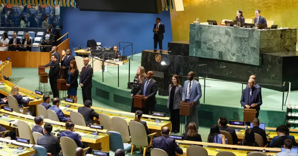 Germany's UN Seat Bid Falls Short, Delivering Setback for Merz
