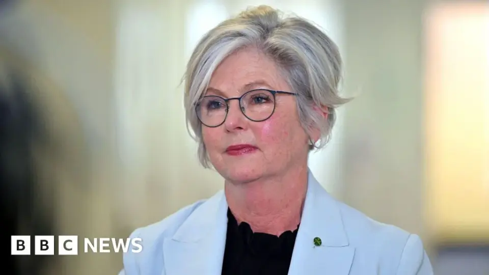 Australian MP Helen Haines Loses Leg After Deliberate Car Attack in Wangaratta