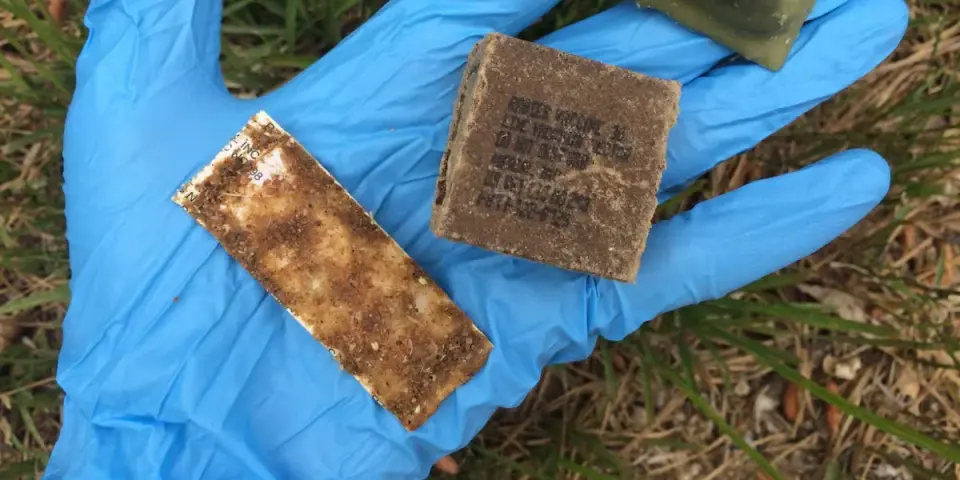 USDA Launches Massive Aerial Rabies Vaccine Drop Across Southeast States