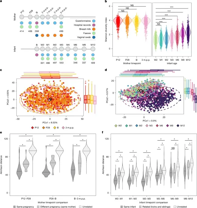 Maternal gut microbiome seeds infant health and eczema risk