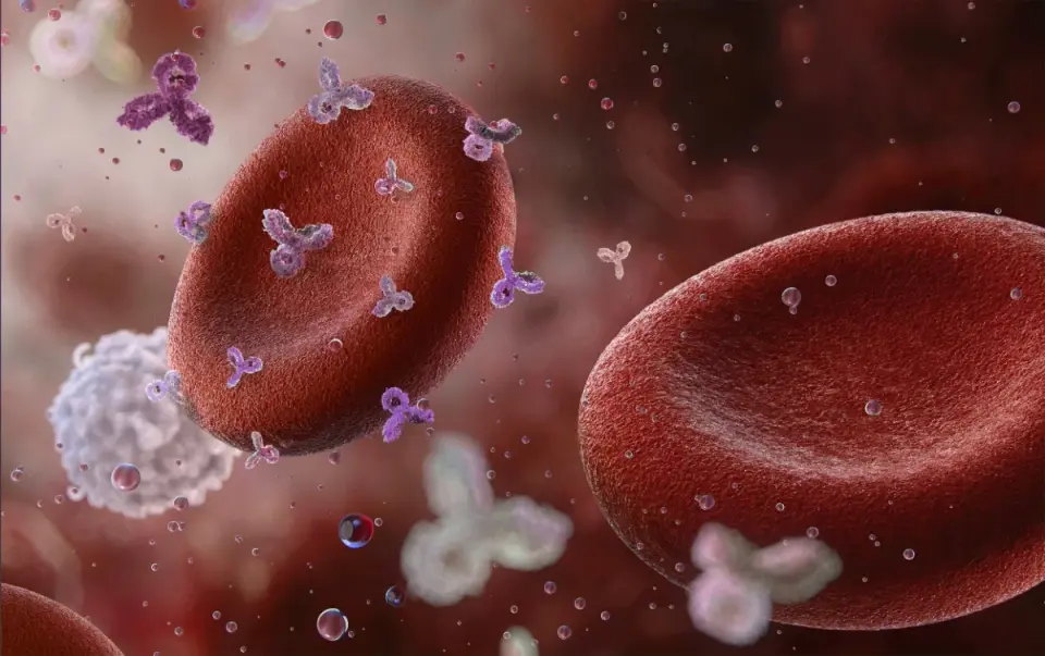 Single CAR-T dose neutralizes rare trio of autoimmune diseases